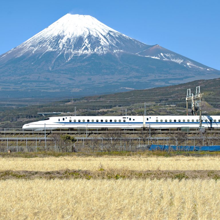 Shutterstock 579542956